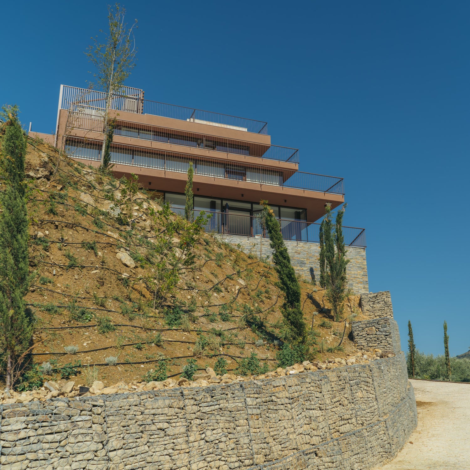 Quinta São José do Barrilário: o novo projeto do Grupo Terras & Terroir no Douro