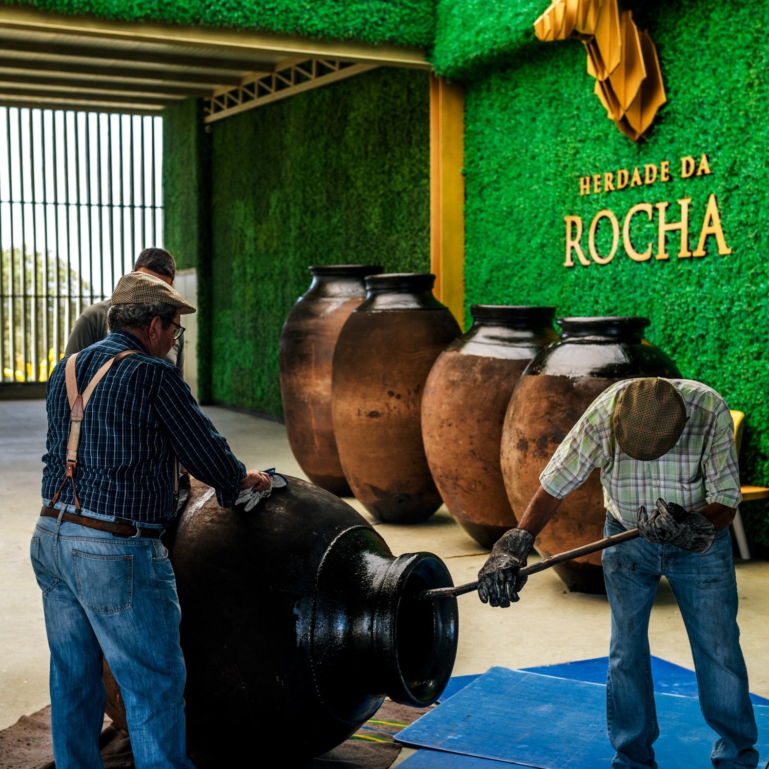 Descubra uma das nossas tradições: Vinhos de Talha