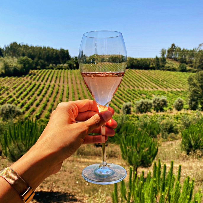 Agosto em tons Rosé!